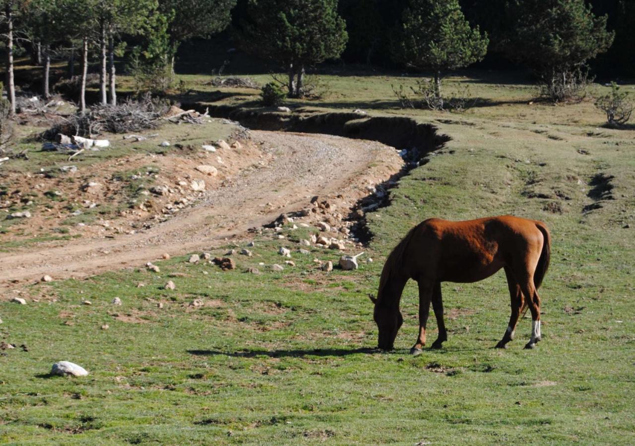 Apartamento Con Encanto En El Pirineo ลาโปบลา เด ลีเญต ภายนอก รูปภาพ